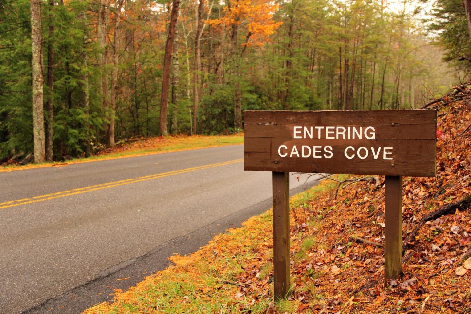 Laurel Cottage, 1089 Free Tickets Each Paid Day, Dollywood And More Sevierville Exterior foto