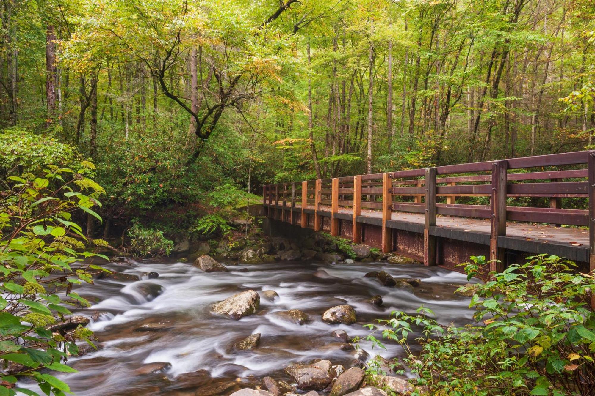 Laurel Cottage, 1089 Free Tickets Each Paid Day, Dollywood And More Sevierville Exterior foto